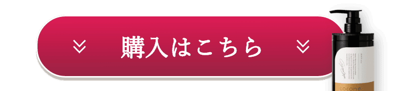 購入はこちら